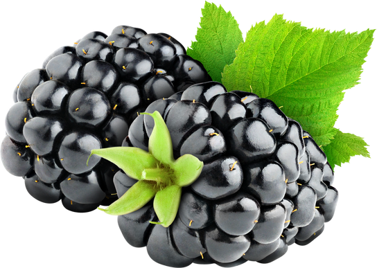 Blackberries